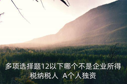 什么納稅人，多項選擇題12以下哪個不是企業(yè)所得稅納稅人  A個人獨資