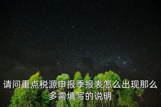 重點(diǎn)稅源申報(bào)要填什么，重點(diǎn)稅源申報(bào)表怎樣填