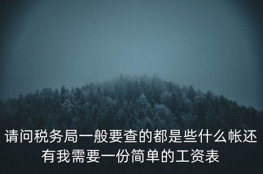 請問稅務局一般要查的都是些什么帳還有我需要一份簡單的工資表