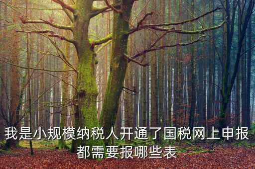 我是小規(guī)模納稅人開通了國(guó)稅網(wǎng)上申報(bào)都需要報(bào)哪些表