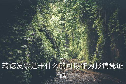 什么叫轉(zhuǎn)發(fā)票，我開(kāi)了一張農(nóng)村合作信用社的轉(zhuǎn)賬發(fā)票請(qǐng)問(wèn)什么是對(duì)應(yīng)發(fā)票