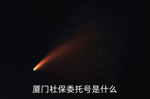 地稅社保委托號是什么，三證合一后去地稅局打社保單子說是與社保局的納稅人識別號不一