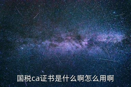 報稅的ca證書什么樣，稅務ca是什么意思是聯(lián)通ca證書嗎