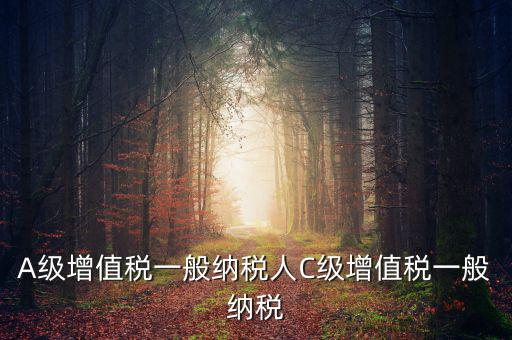 b級納稅人是什么意思，A級增值稅一般納稅人C級增值稅一般納稅