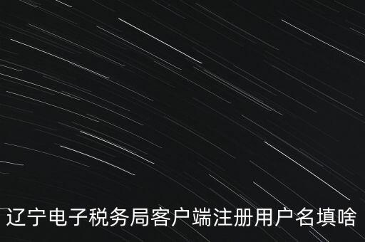 網(wǎng)上辦稅帳號是什么，登錄國稅網(wǎng)上辦稅服務(wù)廳的用戶名和密碼是什么