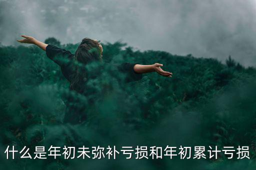 什么是年初未彌補(bǔ)虧損和年初累計(jì)虧損