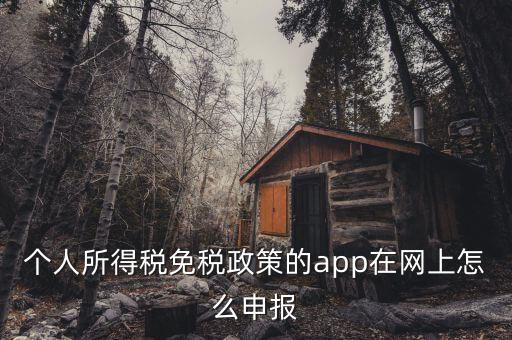 個(gè)人所得稅免稅政策的app在網(wǎng)上怎么申報(bào)