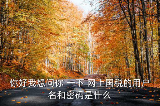 國稅登陸名和密碼是什么意思，國稅第一次網(wǎng)上申報的登陸密碼是什么