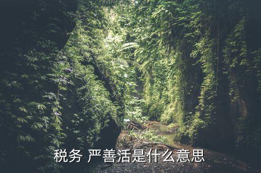 中國(guó)稅務(wù)精神是什么意思，稅務(wù)是什么意思啊學(xué)什么內(nèi)容