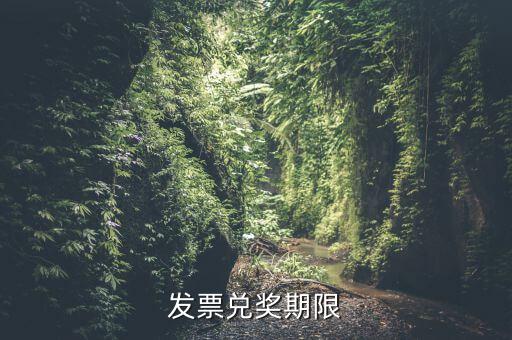 發(fā)票兌獎(jiǎng)期限