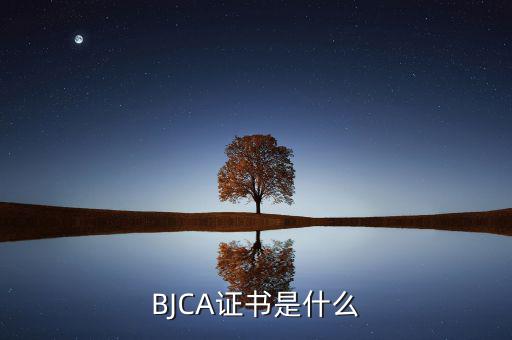 BJCA證書是什么