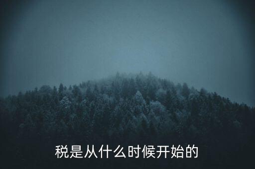 稅是從什么時候開始的