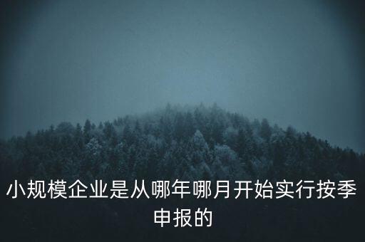 小規(guī)模企業(yè)是從哪年哪月開始實行按季申報的