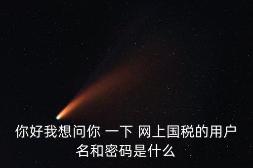 國稅的登錄密碼是什么意思，國稅第一次網(wǎng)上申報的登陸密碼是什么