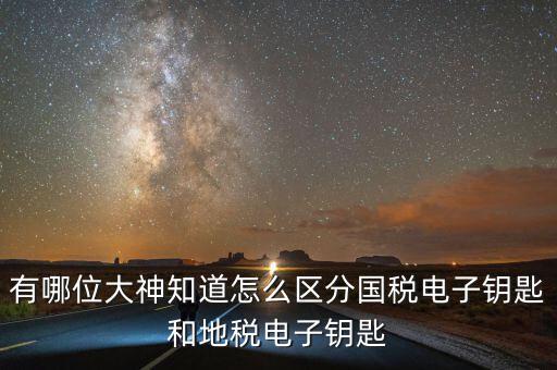 國稅電子鑰匙是什么，稅務(wù)密鑰是什么東西是數(shù)字證書嗎