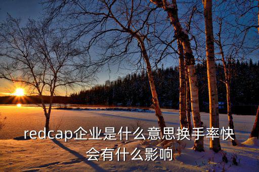 大企業(yè)局是什么意思，廣東省地稅網(wǎng)上的財務報表中的大企業(yè)局數(shù)據(jù)報送是指什么