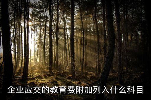 教育費附加干什么，教育費附加代表什么意思