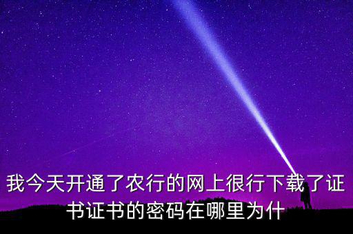 查看證書密碼是什么原因，我今天開通了農(nóng)行的網(wǎng)上很行下載了證書證書的密碼在哪里為什