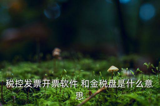 稅控系統(tǒng)指什么，稅控發(fā)票開票軟件 和金稅盤是什么意思