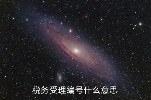 稅務(wù)受理編號什么意思