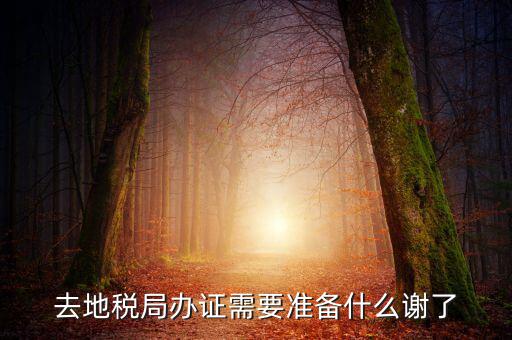 地稅局辦理什么，地稅局開發(fā)票需要辦什么手續(xù)