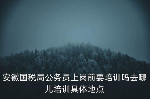 安徽國(guó)稅什么時(shí)候培訓(xùn)，安徽省稅務(wù)學(xué)校還在嗎那里的教學(xué)樓宿舍和操場(chǎng)都還在嗎沒被拆