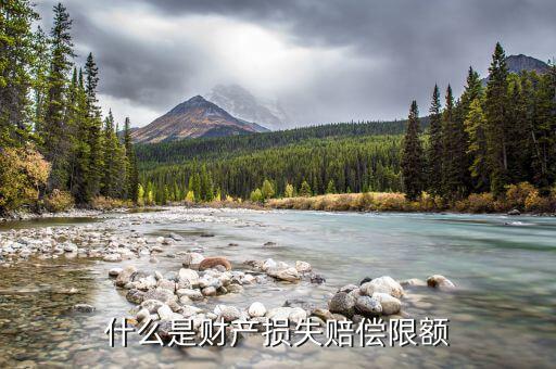 什么是財產(chǎn)損失賠償限額