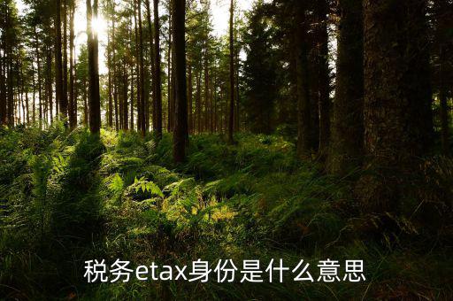 稅務(wù)信息化管理師是什么意思，稅務(wù)etax身份是什么意思