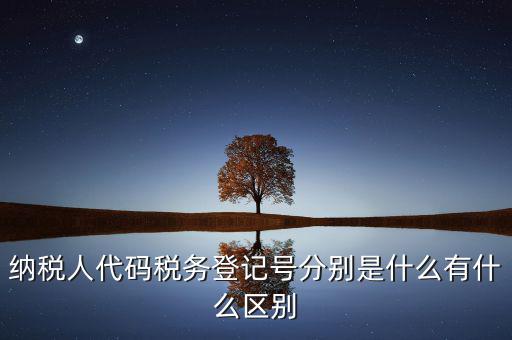 納稅人代碼稅務登記號分別是什么有什么區(qū)別