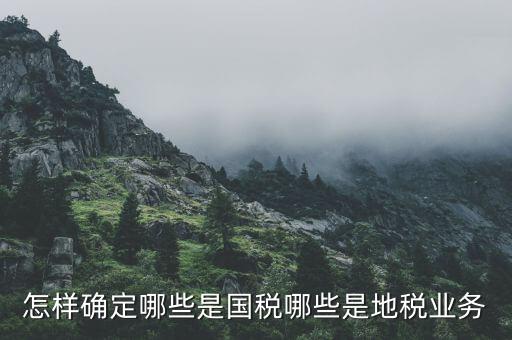 業(yè)務(wù)地稅是什么，地稅申報中業(yè)務(wù)種類是什么