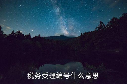 稅務(wù)受理編號什么意思