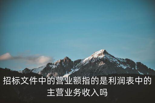 招標(biāo)文件中的營業(yè)額指的是利潤表中的主營業(yè)務(wù)收入嗎