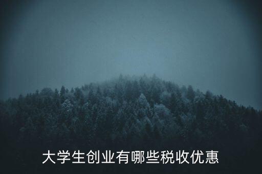 學校有什么稅收優(yōu)惠，大學生創(chuàng)業(yè)有哪些稅收優(yōu)惠