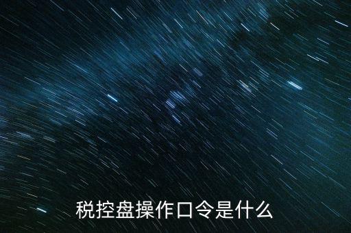 稅控盤(pán)操作口令是什么