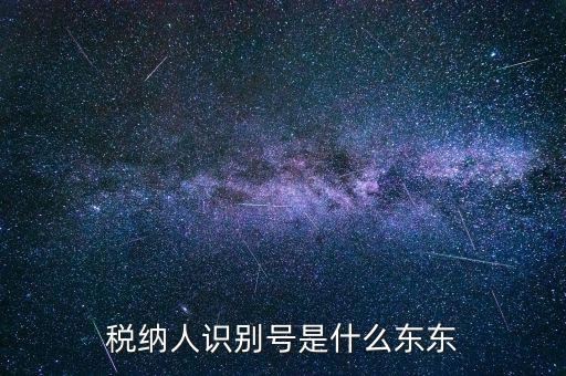 稅納人識別號是什么東東