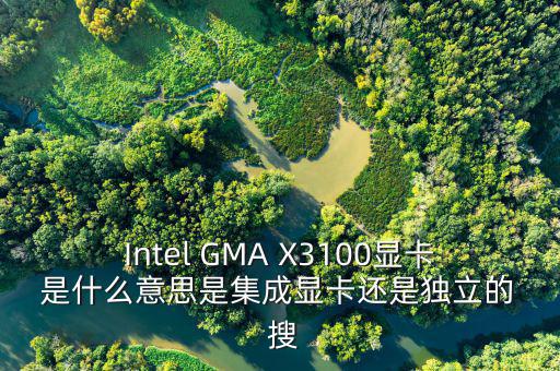 國稅集成理念是什么意思，Intel GMA X3100顯卡 是什么意思是集成顯卡還是獨(dú)立的  搜