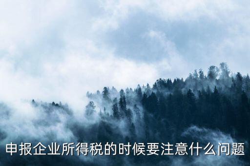 年度企業(yè)所得稅申報注意什么，申報企業(yè)所得稅的時候要注意什么問題