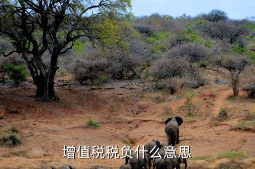 增值稅稅負(fù)什么意思