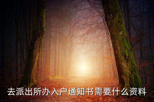 去派出所辦入戶(hù)通知書(shū)需要什么資料