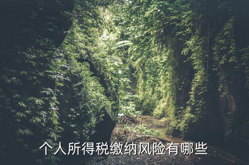 個(gè)人所得稅繳納風(fēng)險(xiǎn)有哪些