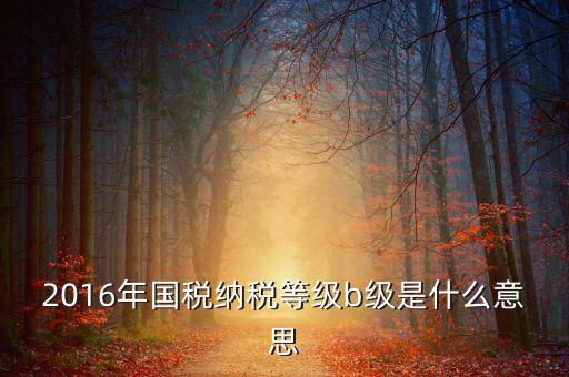 2016年國稅納稅等級(jí)b級(jí)是什么意思