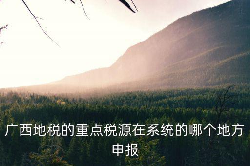 廣西地稅的重點(diǎn)稅源在系統(tǒng)的哪個(gè)地方申報(bào)