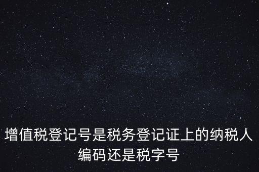 一般納稅人登記編號是什么，納稅人編號是什么