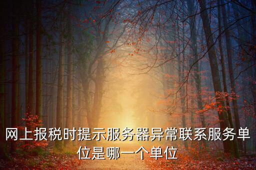 網(wǎng)上報(bào)稅時(shí)提示服務(wù)器異常聯(lián)系服務(wù)單位是哪一個(gè)單位