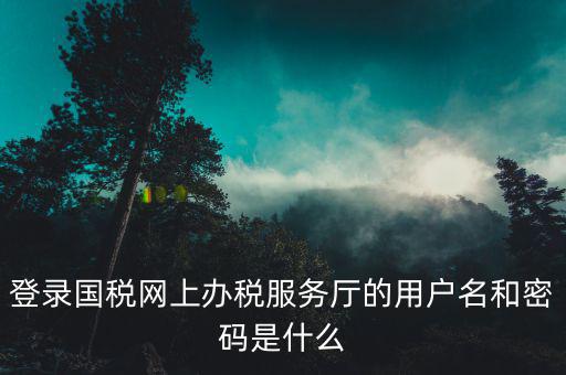 稅務查詢賬號密碼是什么意思，登錄國稅網(wǎng)上辦稅服務廳的用戶名和密碼是什么