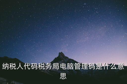 納稅人代碼稅務局電腦管理碼是什么意思