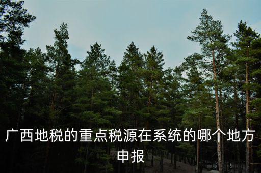 廣西地稅網(wǎng)是什么，進入廣西地稅網(wǎng)后為什么網(wǎng)上辦稅大廳會進不去