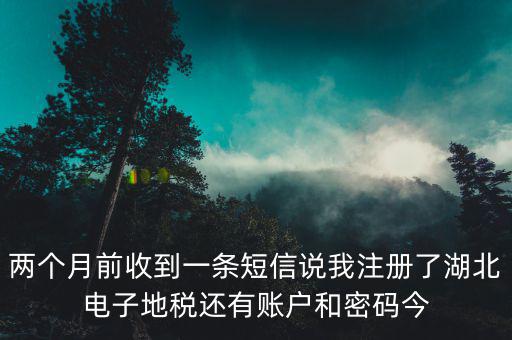 兩個(gè)月前收到一條短信說(shuō)我注冊(cè)了湖北電子地稅還有賬戶和密碼今