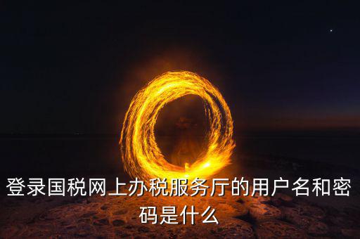 登錄國稅網(wǎng)上辦稅服務(wù)廳的用戶名和密碼是什么