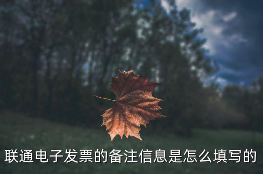 電子發(fā)票都寫什么，電子元器件一批發(fā)票內(nèi)容怎么寫